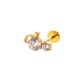 550—Gold Picture11