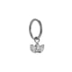 546—Silver Picture4