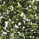 olive green/100piece Picture6