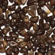 brown/100piece Picture44