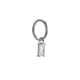 546—Silver Picture2