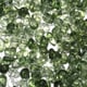 grass green/50piece Picture4