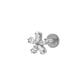 550—Silver Picture4