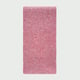 Rose Image8
