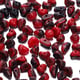 Crimson/100piece Picture32