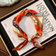Orange Picture5