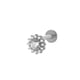 550—Silver Picture6