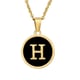 Black H (including chain) Picture58