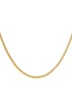 Colore oro Immagine2