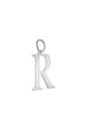 couleur argent Image7