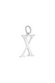 couleur argent Image3