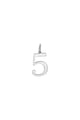 couleur argent Image3