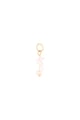 Babyrosa Bild2