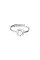 couleur argent Image21