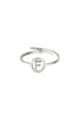 couleur argent Image19