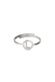 couleur argent Image13