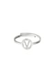 couleur argent Image5