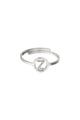 couleur argent 