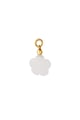 Babyrosa Bild5