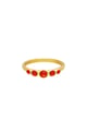 Rood/16 Afbeelding4