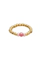 Rose/14 Bild3