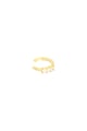 Gold color