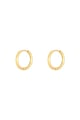 Colore oro Immagine2