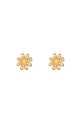 Gold color Picture2
