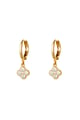 Gold color Picture2