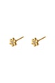 Gold color Picture2