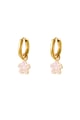 Roze Afbeelding5