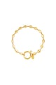 Color dorado Imagen2