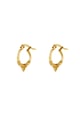 Gold color Picture2