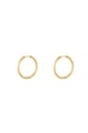 Gold color Picture2