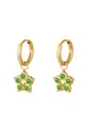Verde Immagine2