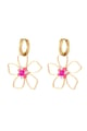 Rosa Bild5
