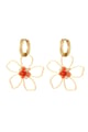 orange Bild4