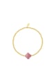 Rosa Bild2