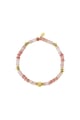 Rosa Bild3