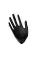 Black Picture2
