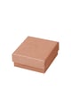 Rosa Immagine6