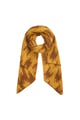 Marrone Immagine2