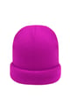 Fuchsie 