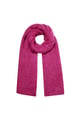 Fuchsie Bild10