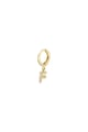 Goudkleur Afbeelding54