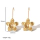 Gold color Picture2