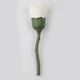 Rose-matte green handle + matte white hair-flower-shaped loose powder brush + OPP packaging