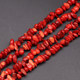 Red Coral Picture50