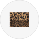 Apparel Accessories