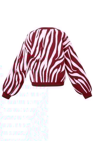 Pulls tricotés à rayures zébrées Vêtements décontractés automne/hiver h5 Image3